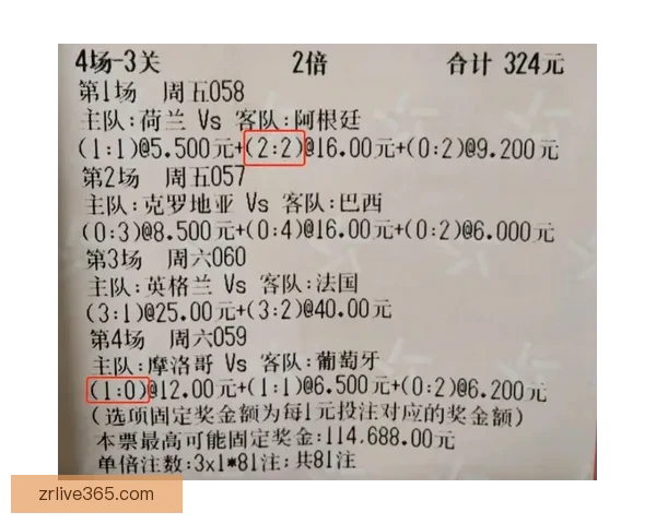 世界杯体育竞猜官网全面解析助您轻松掌握赛事投注技巧