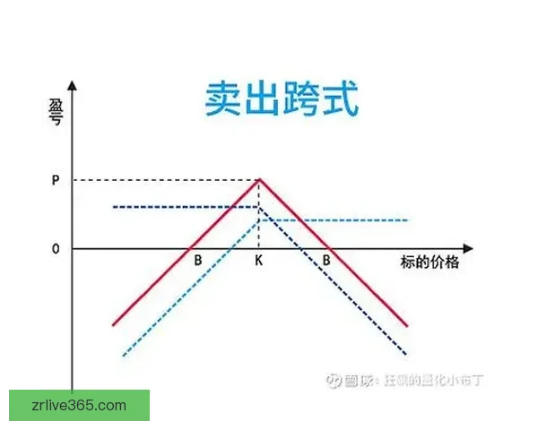掌握世界杯竞猜胜负技巧提升命中率的实战策略与数据分析指南全面